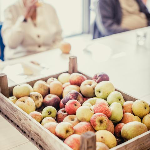 Houten kist met verschillende appelsoorten staat op tafel, in de achtergrond drinkt een vrouw van haar glas.
