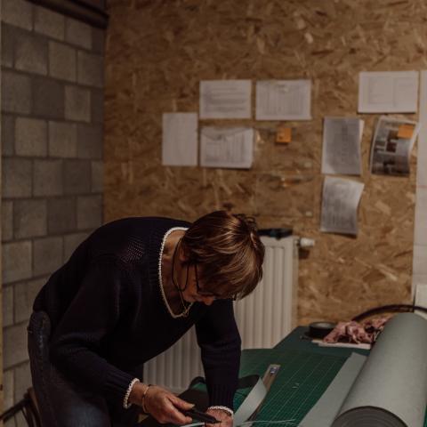 Inventarisatie bij Circus Ronaldo